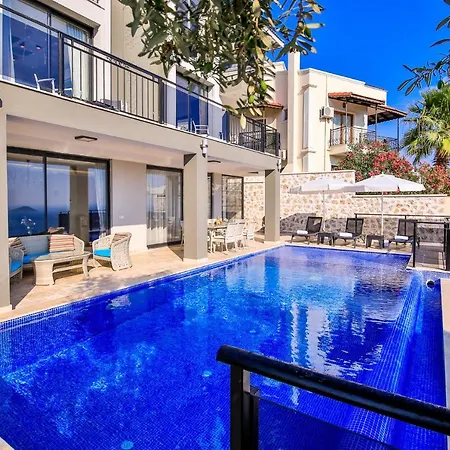 Elegance * Καλκάν